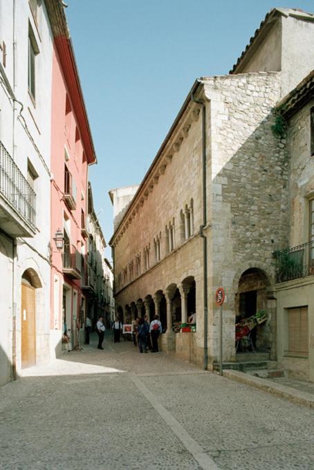 Apartamentos Saltarel·lo Besalu Bagian luar foto